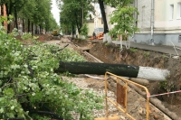 Липы помешали ревизии