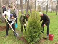 Рыбинск станет самым чистым и зелёным на Волге