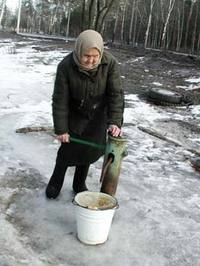 Вершки и корешки по-гашковски